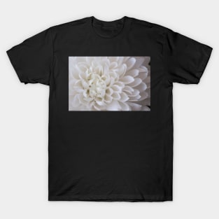 White chrysanthemum petals T-Shirt